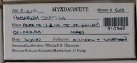 Image Associated With the Occurence